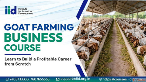 Start Goat Farming Business Course Goat Farm Startup Guide