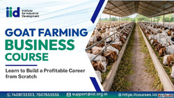 Start Goat Farming Business Course Goat Farm Startup Guide