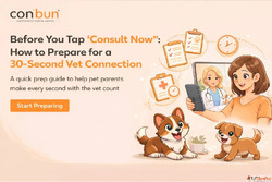 Before You Tap "Consult Now" How to Prepare for a ...