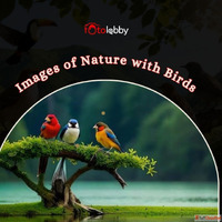 Images of Nature with Birds