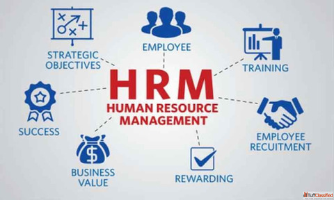 Transform Your Business with Powerful ERP Software Solutions