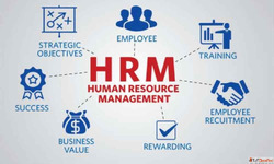 Transform Your Business with Powerful ERP Software Solutions