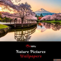 Nature Pictures Wallpapers