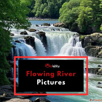 Flowing River Pictures