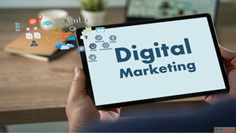 Best Digital Marketing Company in India - Traficxo