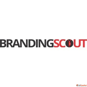 Budget-Friendly Website Development for Small Business