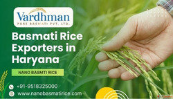 Basmati Rice Exporters in Haryana