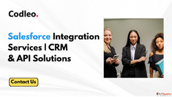 Salesforce Integration Services CRM API Integration Solution...
