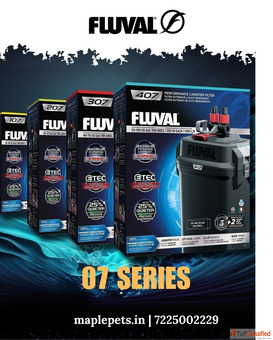 Canister Filter for Aquarium Cleaning