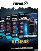 Canister Filter for Aquarium Cleaning