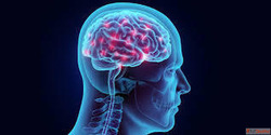 Safe Brain Hemorrhage Operation by Specialists IR Facilities