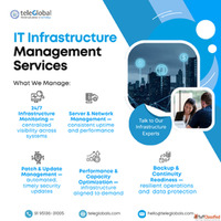 Managed IT Infrastructure Disaster Recovery Services in Pune