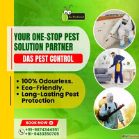 Das Pest Control - Excellence in Every Corner
