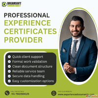 Experience Certificates Provider in Noida
