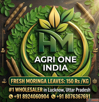 Fresh Green Moringa A Grade HM AGRI ONE