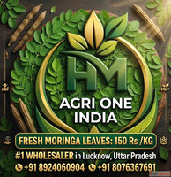 Fresh Green Moringa A Grade HM AGRI ONE