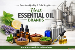 Looking for the Best Essential Oils Experience Pure Natural ...