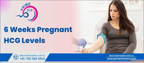 6 Weeks Pregnant hCG Levels Best IVF Centre in Delhi
