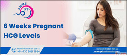 6 Weeks Pregnant hCG Levels Best IVF Centre in Delhi