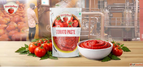 How to Use Tomato Paste in Cooking - Buy Online India