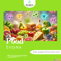 Get best Quality Food Enzyme