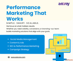 Performance Marketing Agency in India for D2C E-commerce Bra...