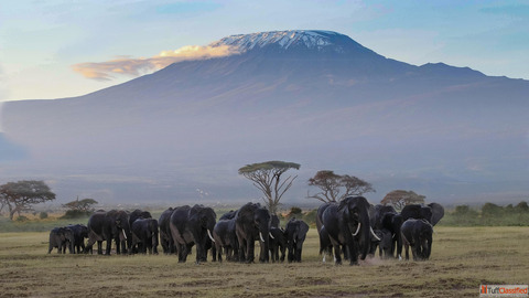 Short term visit to Kenya Apply for Kenya Online visa for France citizens