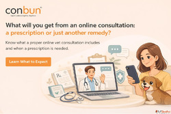 Online Vet Prescription or Just Advice
