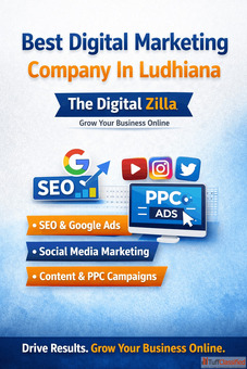 Best Digital Marketing Company in Ludhiana The Digital Zilla