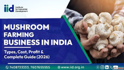 Mushroom Farming Business in India - Cost Profit Complete Gu...