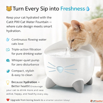 Catit PIXI cat water fountain filtered water flow for a happy and hydrated cat.