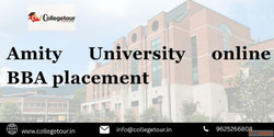 Amity University online BBA placement