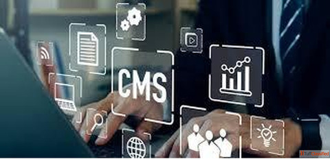 Top-Rated CMS Development Company In India for Scalable Smart Web Solutions