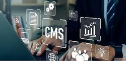 Top-Rated CMS Development Company In India for Scalable Smar...