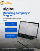 Leading Digital Marketing Company in Gurgaon Tech Prosense