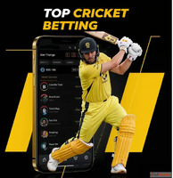 Online Cricket id Provider