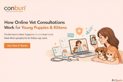 How Online Vet Consultations Work for Puppies Kittens in Ind...