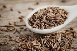Cumin Seeds Suppliers in Gujarat