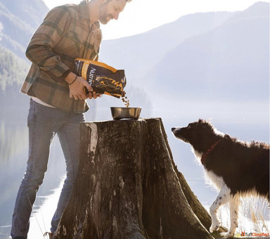 Dog Food for Large Breed Dogs