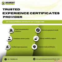 Experience Certificates Provider in Gurgaon