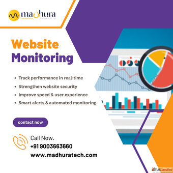 Advanced Website Monitoring in Coimbatore by Madhura Technologies