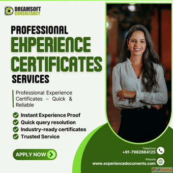 Experience Certificates Provider in Gurgaon