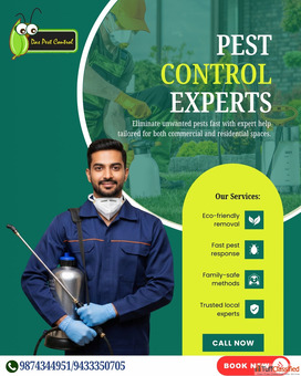 Das Pest Control - Excellence in Every Corner