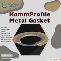 Best kamm profile metal gasket manufaturer