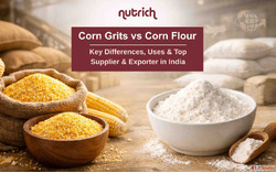Corn Grits Corn Flour Supplier and Exporter in India - Nutri...