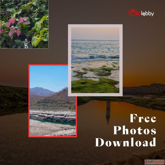 Free Photos Download