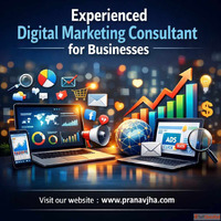 Experienced Digital Marketing Consultant for Businesses