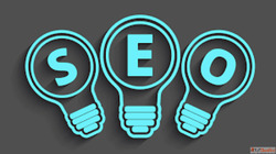 Rank Higher with the Best SEO Company in Amritsar
