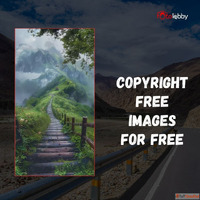 Copyright Free Images for Free