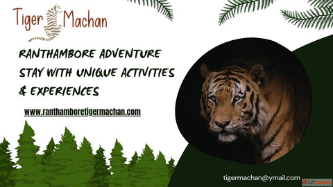 Ranthambore Adventure Stay with Unique Activities Experiences